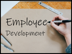 Employee Development Toolkit